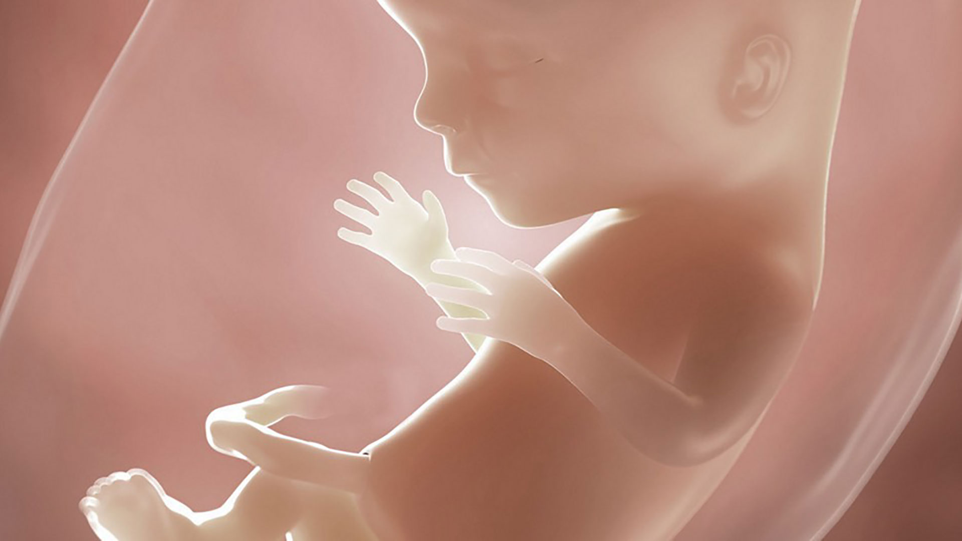 Sochli chol porno Yalangoch ayol eshaklar